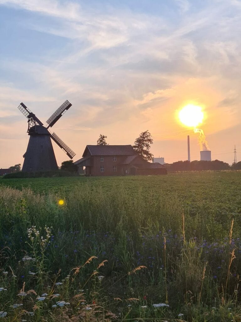 Windmühle Wallholländer